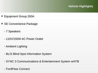 2019 Ford EcoSport SE