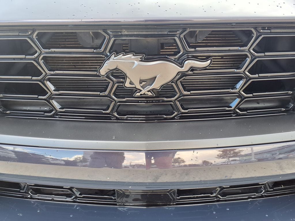 2024 Ford Mustang Dark Horse