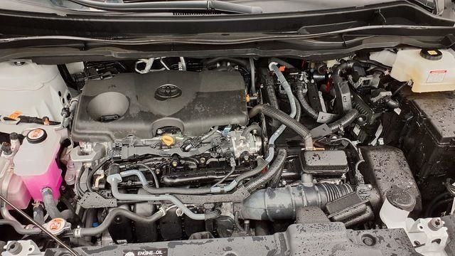 2025 Toyota Sienna XLE 8 Passenger